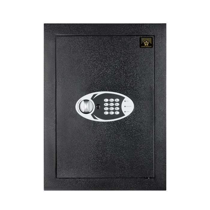 Paragon Safes Digital Wall Safe with Electronic Lock Wayfair.ca